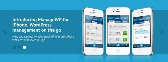 Manage-WordPress-Sites-from-One-Dashboard-580-3