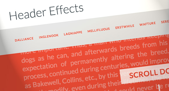 On Scroll Header Effects | Codrops