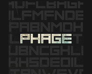 Collective172_phage