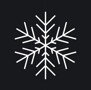 coll267_snowflake