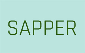 C379_sapper