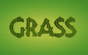 C381_grass