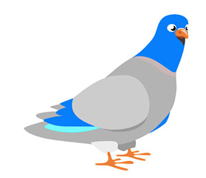 C381_pigeon