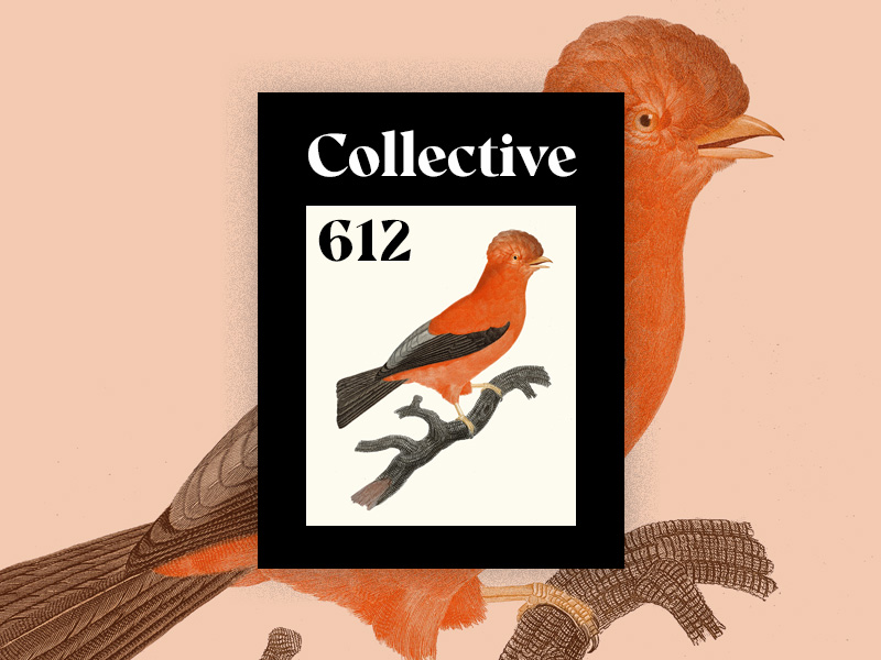 Collective612_large
