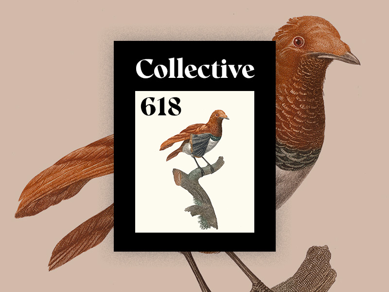 Collective618_large cover
