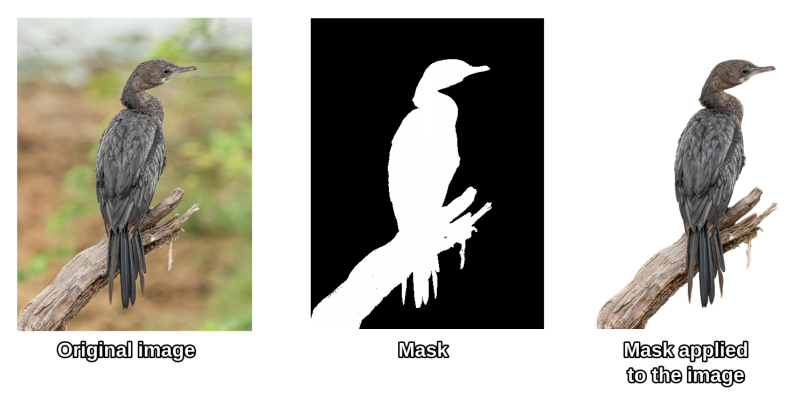 An illustration of how SVG masks work. There are 3 pictures: the first one depicts the photograph of a bird against a blurred natural background; the second shows a masks, with the bird contour in white and the background in pitch black; the third shows the mask applied to the original image, the bird is perfectly cropped from the background, which is now transparent.