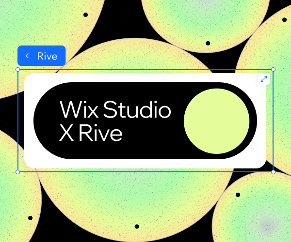 Wix Studio